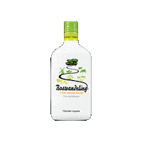 Party Coco Sticker by FLS Company Nederland N.V.