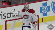 Ice Hockey Thank You GIF by NHL