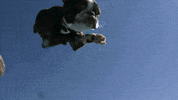 slow motion swimming GIF by HuffPost