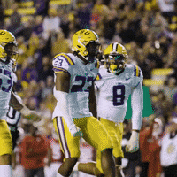Shut Down Death Valley GIF by LSU Tigers