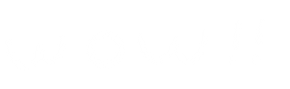 Wow Sticker
