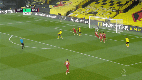 Premier League Goal GIF by Watford Football Club