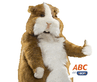 Abcdelbcp Cuymagico Cuysejos Bcp Bancodecreditobcp Sticker by BCP