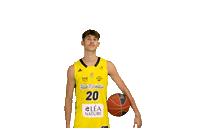 Basketball Basket Sticker by Stade Rochelais
