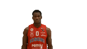 Basketball Player Sticker by Bisons