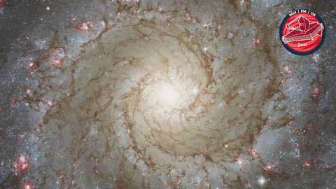 James Webb Nasa GIF by ESA Webb Space Telescope