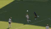 Goalcelebration Washingtonspirit GIF by National Women's Soccer League