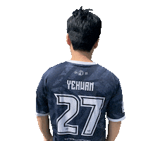 Football Sport Sticker