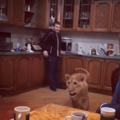 GIF by Demic
