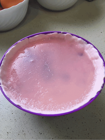 cnsgproyecto giphyupload GIF