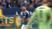 Sieg GIF by FC Schalke 04