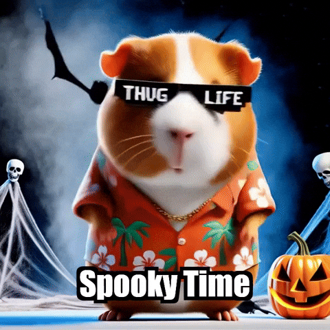 Halloween Pumpkin GIF by Guinea Gambino