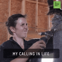 My Career Job GIF by 60 Second Docs