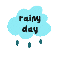 Rainy Day Rain Sticker