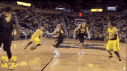 nik stauskas GIF