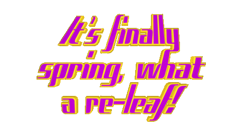 Love Hling Birdschirping Birds March Ostara Sunnyday Day Time Springiscoming Is Garden Sticker by OpticalArtInc.