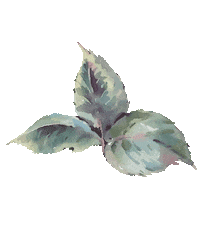 cosmed damlakalaycik Sticker