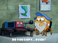 season 5 episode 13 GIF by SpongeBob SquarePants