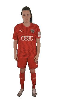 schanzerinnen frauenfussball fritz nichtohnemeinemädels schanzerinnen Sticker
