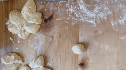 alexandracooks giphyupload GIF