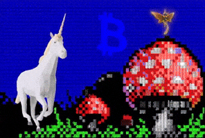 Crypto Bitcoin GIF by The LSD Hotel