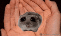 Good Night Sleep GIF by Sad Hamster