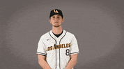 Cal State La Baseball GIF by Cal State LA Golden Eagles