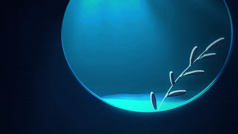 lychnuslia giphyupload GIF