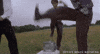 office space GIF by 20th Century Fox Home Entertainment