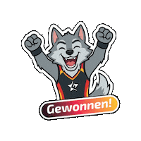 Lets Go Winner Sticker by Die Finals