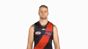 essendonfc jake bombers dons essendon GIF