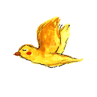 elarandano bird fly volar ave Sticker