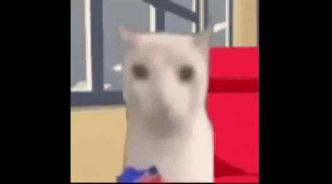 Jotarinho giphycreatortest GIF