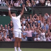 tennischannel  GIF
