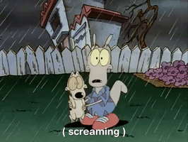 rockos modern life nicksplat GIF