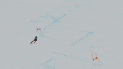 Team Usa Sport GIF by U.S. Ski & Snowboard Team