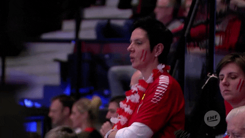 Ehfeuro GIF by EHF