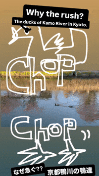 Autumn Birds GIF by KaoruHironaka