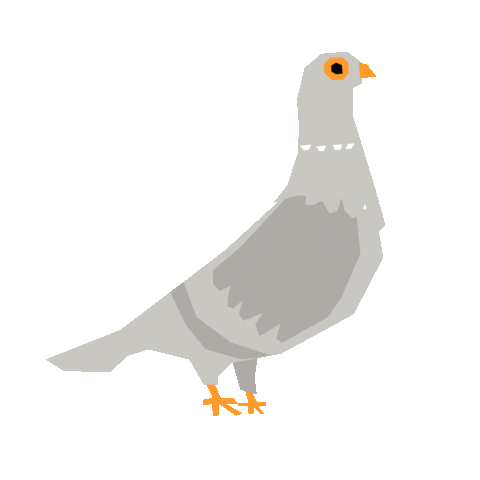 Dance Bird Sticker by Redmatters