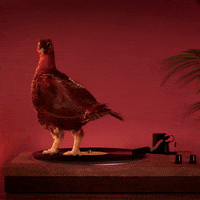 Record Player Whisky GIF by The Famous Grouse