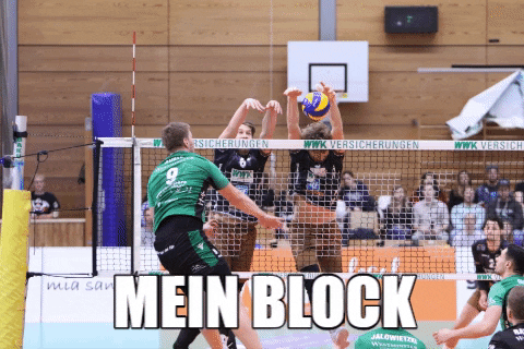 gcdw_ede giphygifmaker block gcdw wwkvolleys GIF