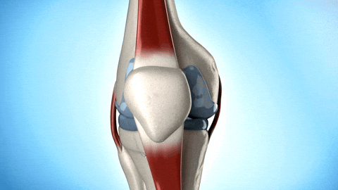 Health GIF by Just Healthy