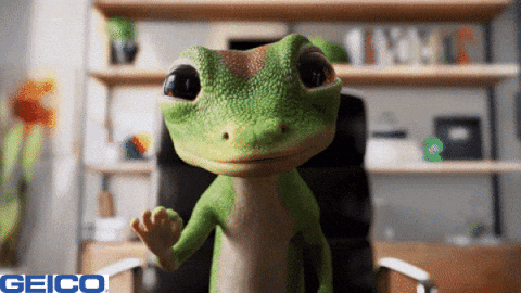 Big Eyes Wow GIF by GEICO