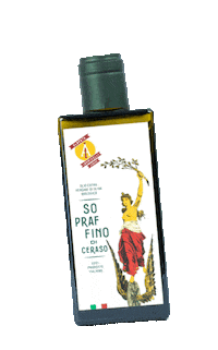 Olive Oil Sticker by Alberta Iannicelli Azienda Agricola