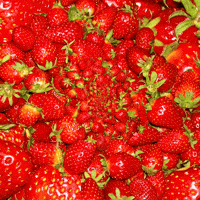 Loop Vegan GIF by Feliks Tomasz Konczakowski