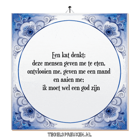 Nl Wijsheid Sticker by Tegelspreuken.nl