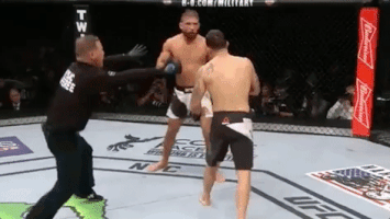 ufc 205 mma GIF by UFC