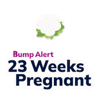 Pregnancy Expecting Sticker by The Bump