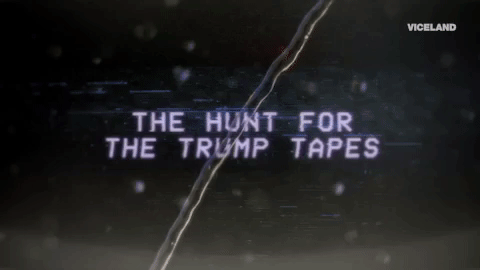 viceland GIF by THE HUNT FOR THE TRUMP TAPES