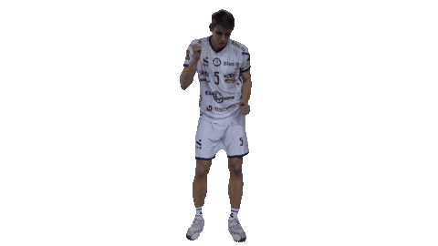 ksnorwidczestochowa giphyupload norwidvolleyball norwidvolleyballclub norwid Sticker